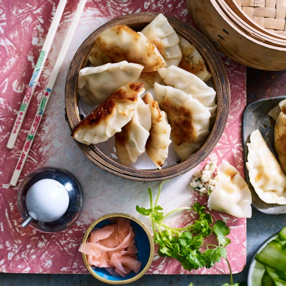 chicken gyozas recipes