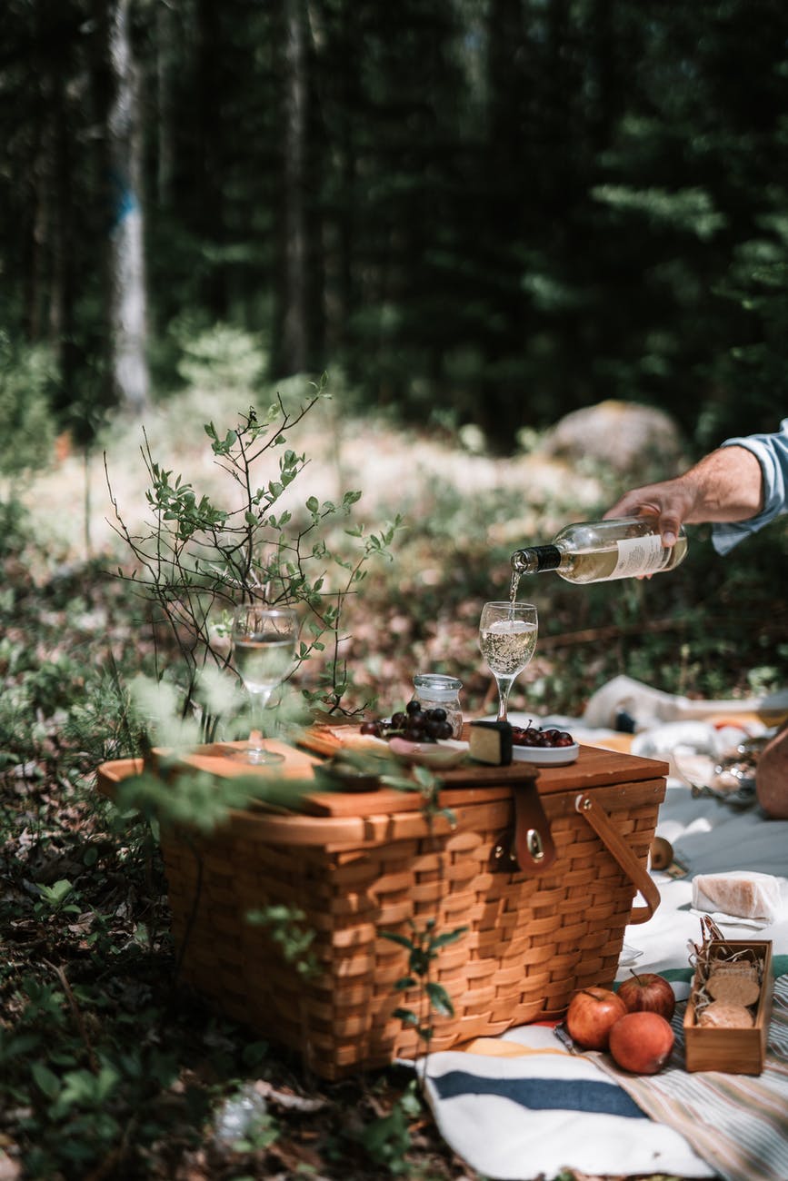 summer picnic shoot