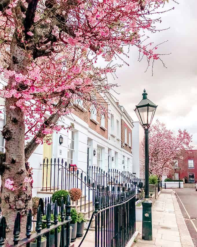 Spring in Bank Holiday in London