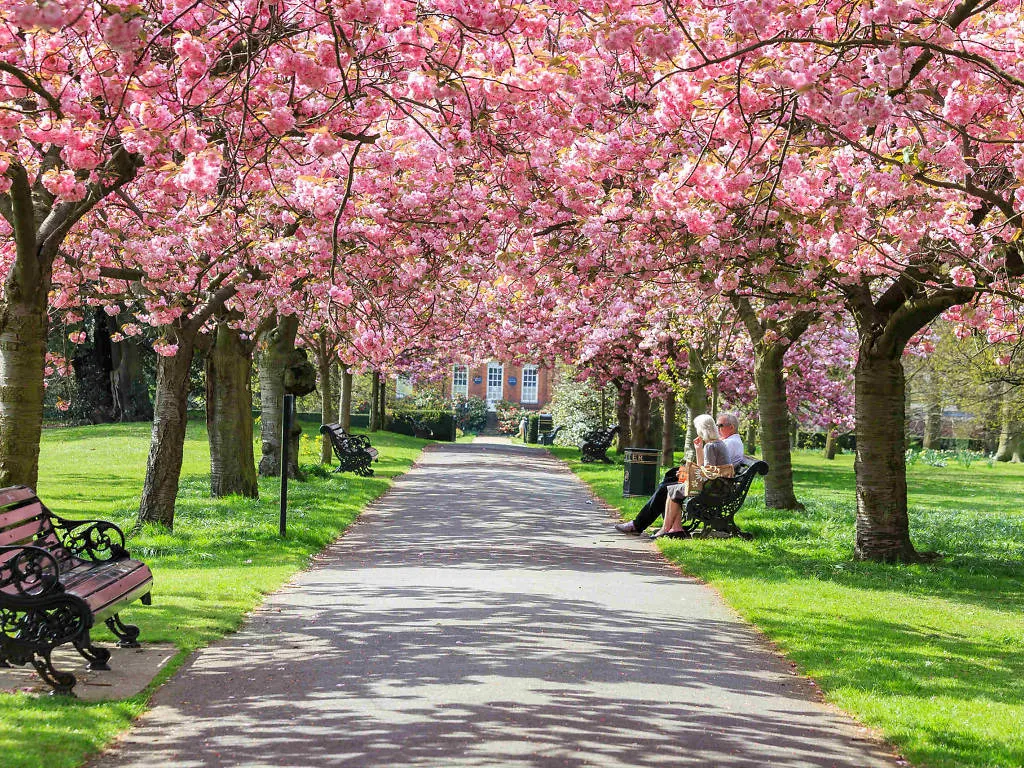 London's Loveliest Spring Gardens