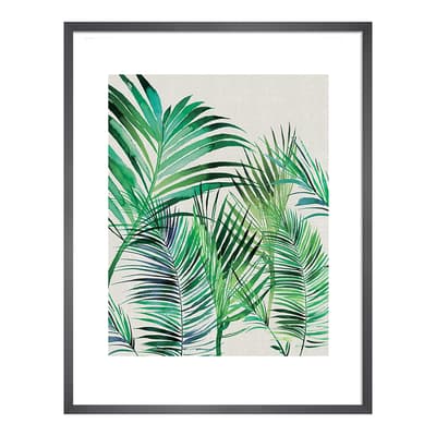 Palm Leaves 40x50cm Framed Print