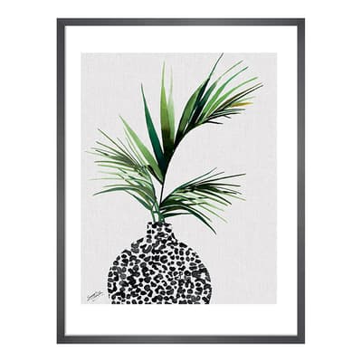 Areca Palm Plant 40x50cm Framed Print