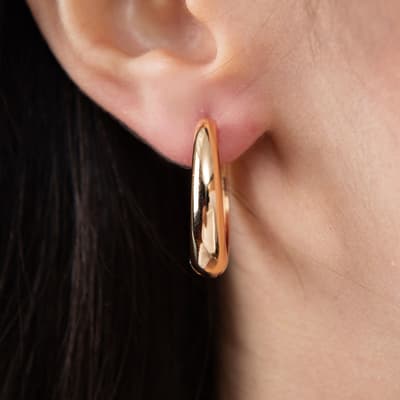 Gold Hoop Earringss