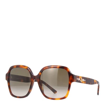 Women's Havana Brown Jimmy Choo Sunglasses 55mm