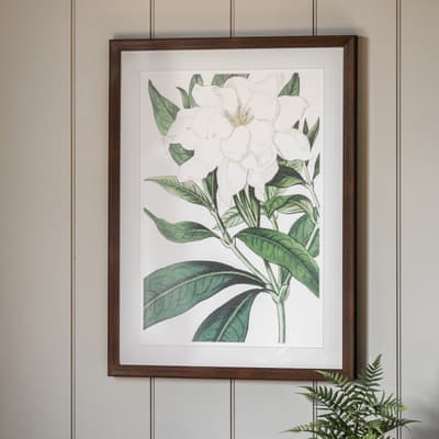 Gardenia 80x60cm Framed Print