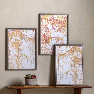 Bamboo Triptych 70x50cm Framed Print