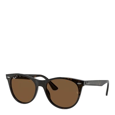 Brown Wayfarer II Sunglasses 55mm
