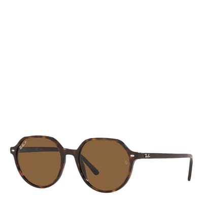 Polished Havana Thalia Sunglasses 53mm