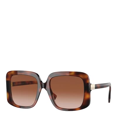 Women's Havana Brown Burberry Sunglasses 55mm