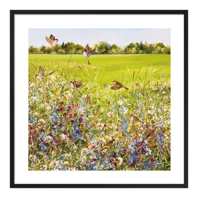 Open Meadow Framed Print, 60cm x 60cm