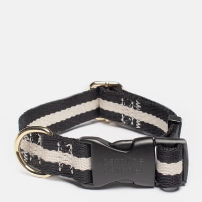 Black/White Dog Collar S/M