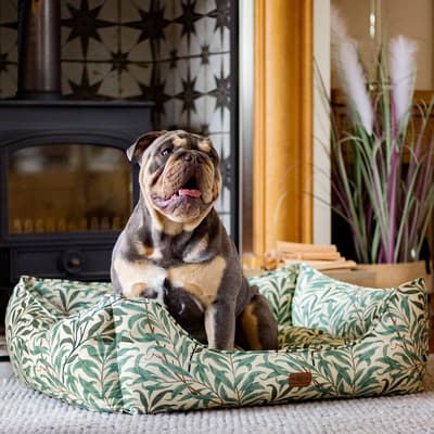 Willow Boughs Pet Box Bed, Ivory/Green, Size Medium, 69cm x 52cm x 25cm 