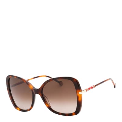 Women′s Havana Brown Carolina Herrera Sunglasses 58mm