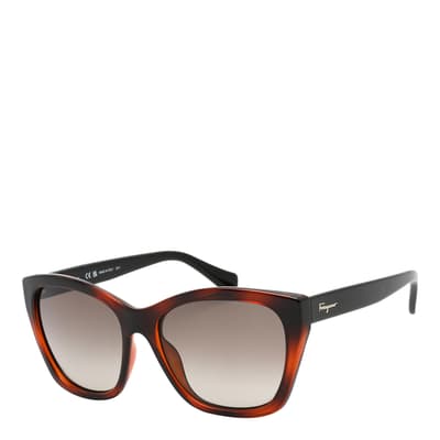 Women′s Brown Salvatore Ferragamo Sunglasses 56mm