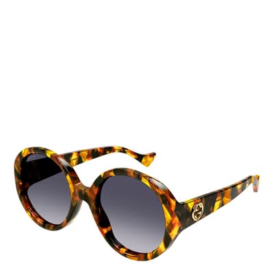 Women's Tortoise/Blue Gucci Sunglasses 56mm