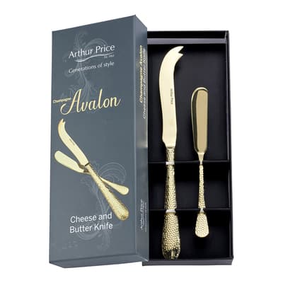 Avalon Champagne Cheese and Butter Knife in Gift Box
