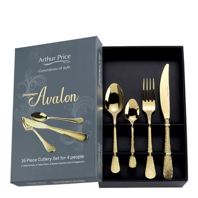 16 Piece Avalon Champagne Set