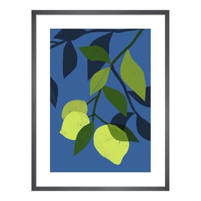 Agavas Limes 36x28cm Framed Print