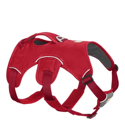 Webmaster Harness Red Currant S