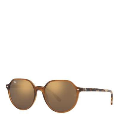 Transparent Brown Thalia Sunglasses