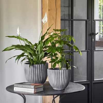 Lagos Anthracite Planter H23Cm W23.5Cm