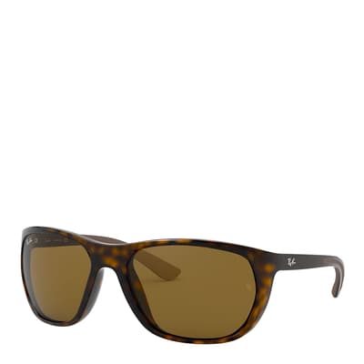 Light Havana Sunglasses 61mm