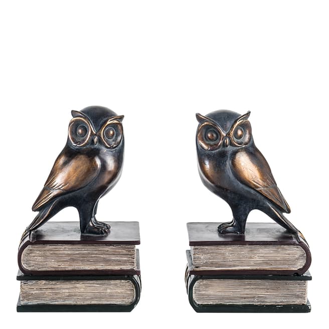 Sia Set of Two Bronze Owl Bookends 25cm