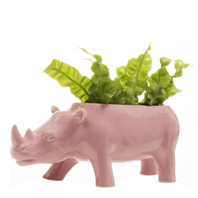 Chive Pink Rhino Planter