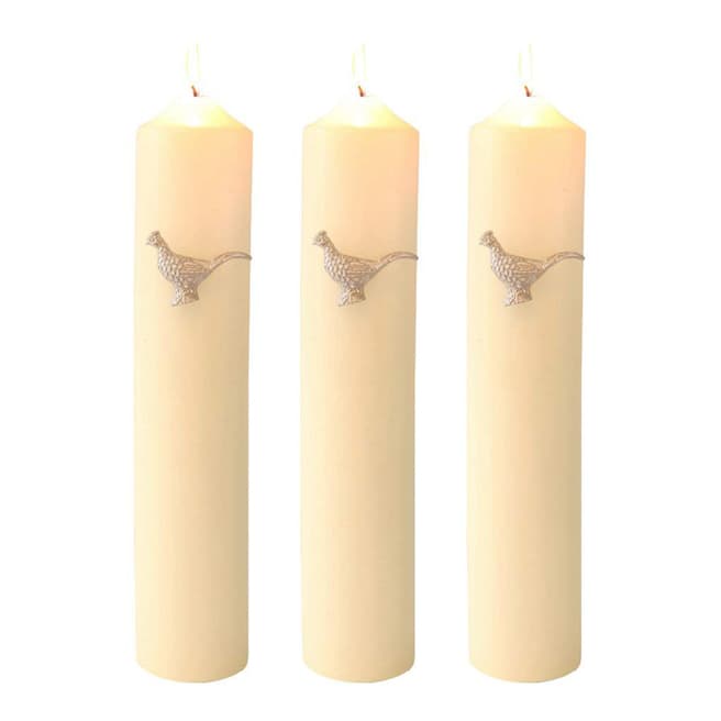 Culinary Concepts Set of 3 Pheasant Candle Pins