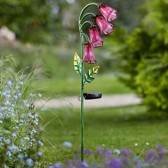 Smart Solar Foxglove, Solar Flower