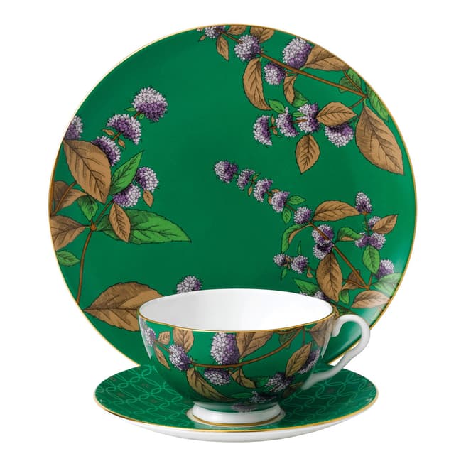 Wedgwood 3 Piece Tea Garden Green Tea & Mint Set