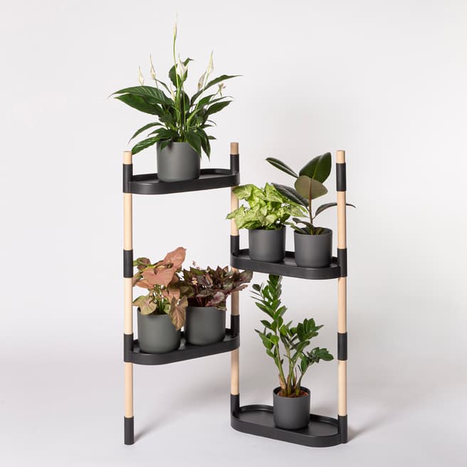 CitySens Plant Shelves, Black, 4-tray