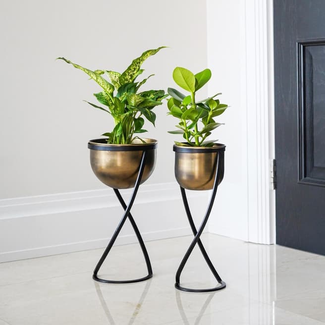 Ivyline Indoor Kensington Brass Metal Round Planter on Stand, 14cm