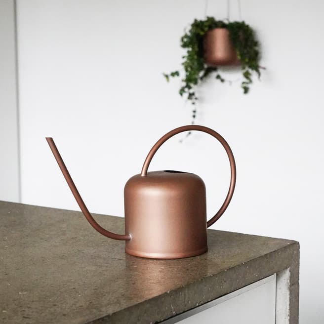 Ivyline Kew Matt Copper Watering Can, 19cm