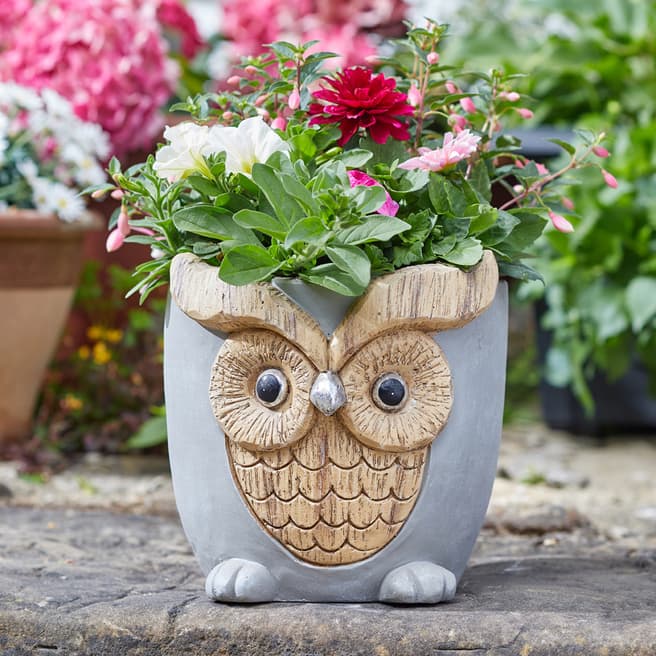 Smart Garden Woodstone Owl Planter