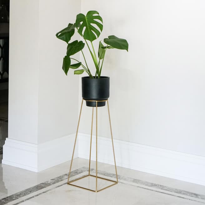 Ivyline Minimo Gold Plant Stand