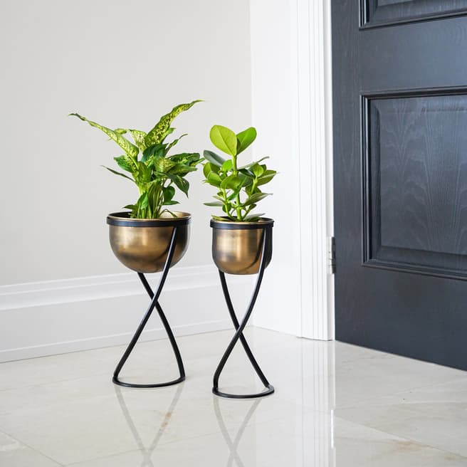 Ivyline Indoor Kensington Brass Metal Round Planter on Stand