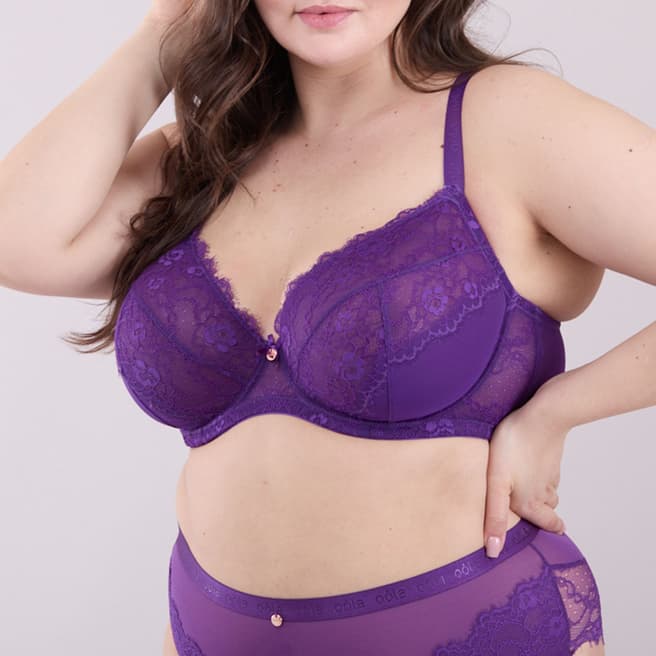 Oola Lingerie Purple Lace And Logo Non Padded Underwired Bra