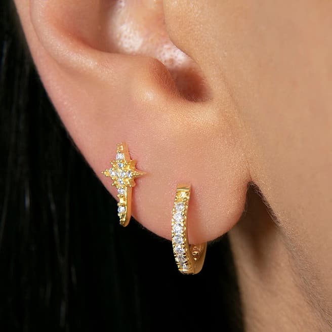 Elika Silver/Gold Earrings