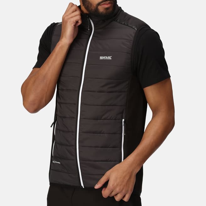 Regatta Black Halton Baffled Gilet