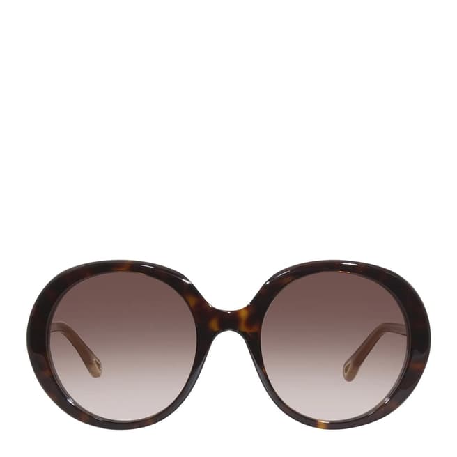 Chloe Women's Brown Chloe Sunglasses 54mm