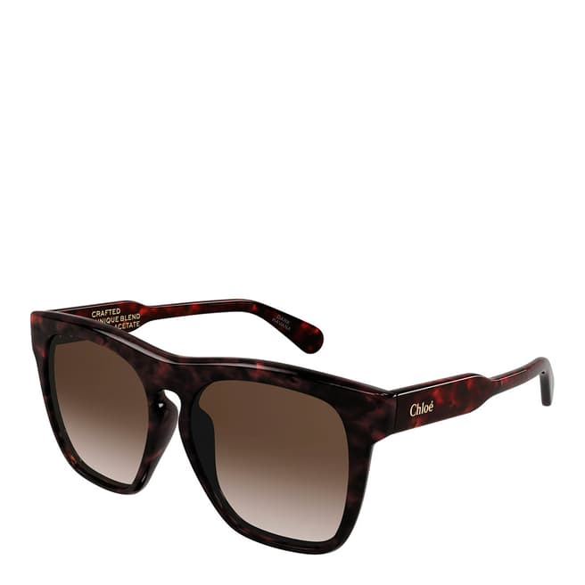 Chloe Women's Brown Chloe Sunglasses 56mm