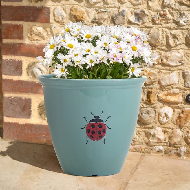 Creekwood 38cm Ladybird Planter Green