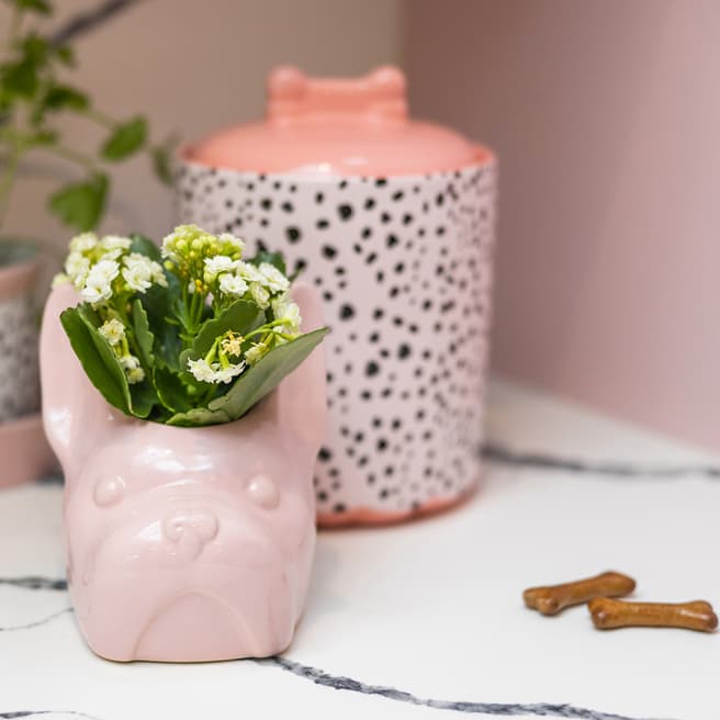 Eleanor Bowmer Pink Frank Planter