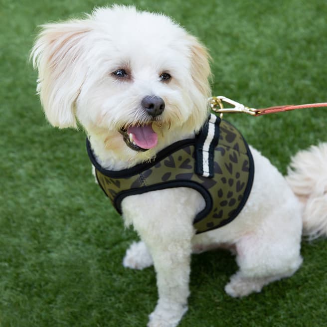 Caroline Gardner Small Khaki/Black Heart Dog Harness