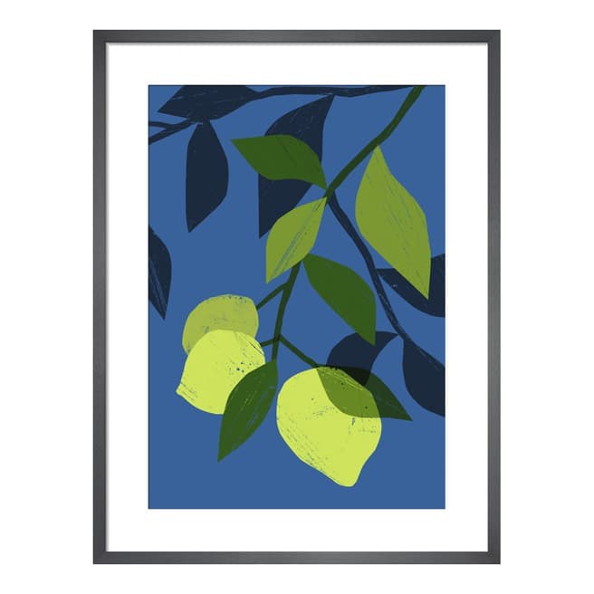 Ana Zaja Petrak Agavas Limes 36x28cm Framed Print