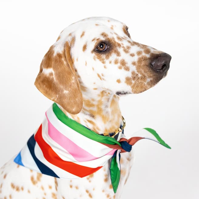 Kate Spade Bandana (S/M), Adventure Stripe