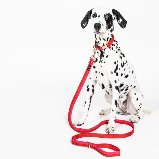 Kate Spade Leash (S/M), Colorblock Red/Pink