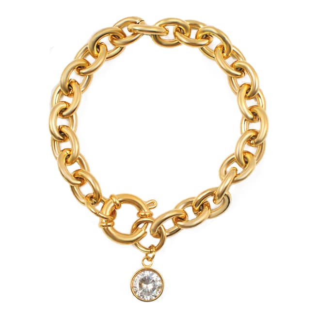 Gold Plated Cubic Zirconia Charm Bracelet - BrandAlley