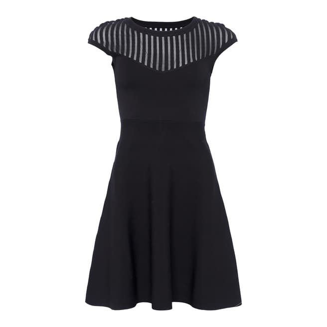 Black Rose Fit and Flare Dress - BrandAlley